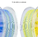 NEON2.webp