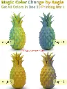 SUNBEAM FOREST4.webp