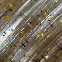 PLA-GoldDust-square-Macro.webp