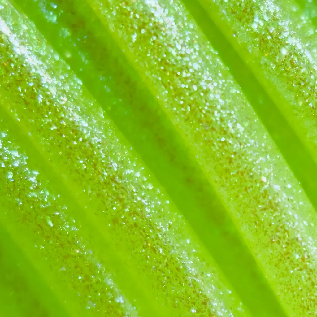 Elixir-GreenApple-square-macro-Photos.webp