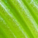 Elixir-GreenApple-square-macro-Photos.webp